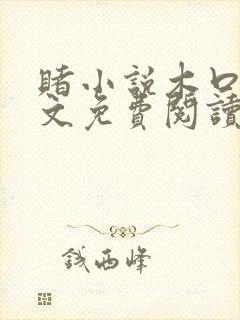 赌小说木口银全文免费阅读笔趣阁