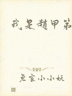 我是赵甲第小说