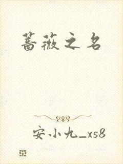 《蔷薇之名》小说封面