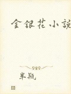 金银花小说乐可
