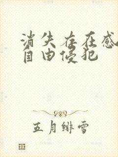 消失存在感消失自由侵犯