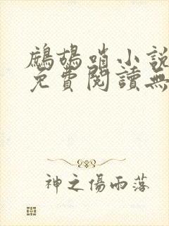 鹧鸪哨小说网站免费阅读无弹窗