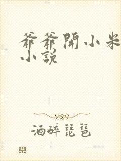 爷爷开小米的包小说