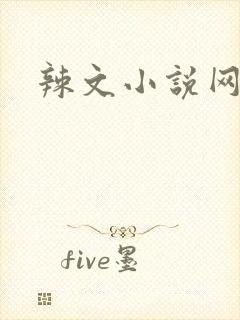 辣文小说网