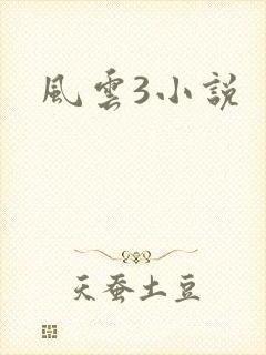 风云3小说