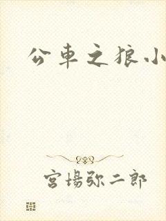 公车之狼小说