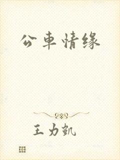 公车情缘