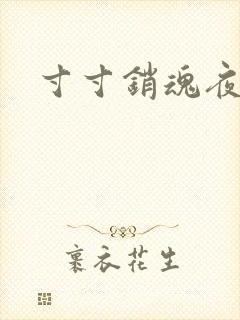 寸寸销魂夜春光