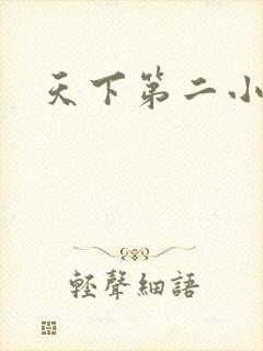 天下第二小说