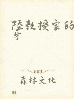 陆教授家的小月牙