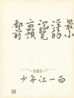 都市沉浮最快超前预览的小说3030封面