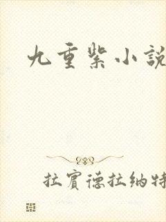 九重紫小说