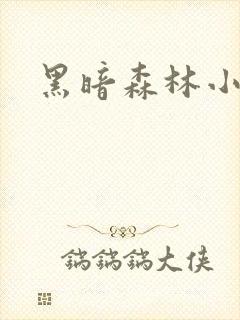 黑暗森林小说