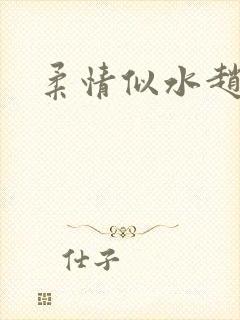 柔情似水赵雅儿