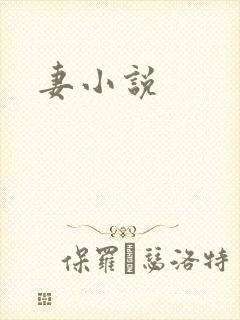 妻小说
