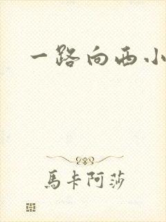 一路向西小说