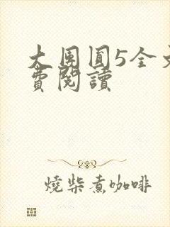 大团圆5全文免费阅读