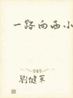 一路向西小说