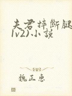 夫君摔断腿后(1v2)小说