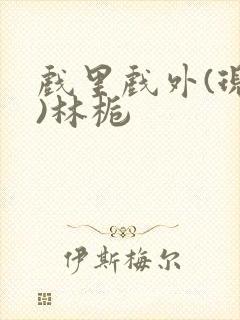 戏里戏外(现场)林栀