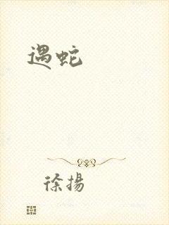 《遇蛇》小说封面