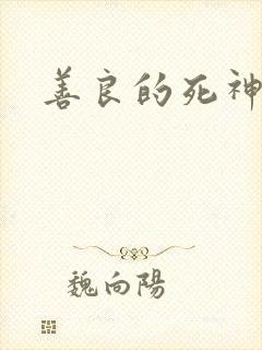 善良的死神小说