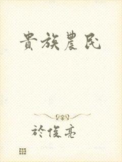贵族农民封面