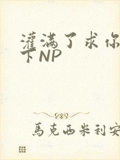 灌满了求你们停下NP