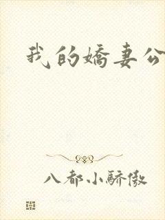 我的娇妻公务员