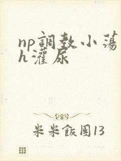 np调教小荡货h灌尿