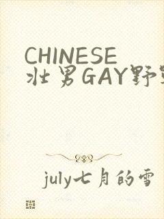 CHINESE壮男GAY野战强迫TUBE