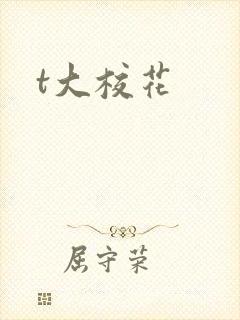 t大校花