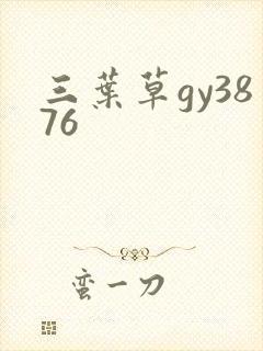 三叶草gy3876