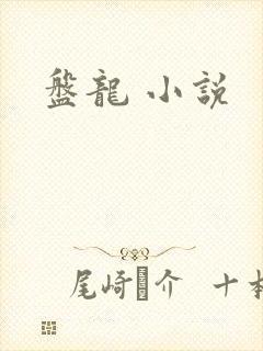 盘龙 小说