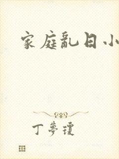 家庭乱日小说