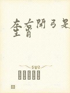 左右开弓是什么生肖