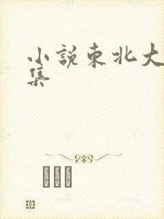 小说东北大炕全集