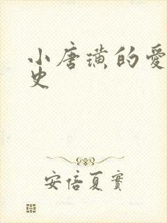 小唐璜的爱情历史