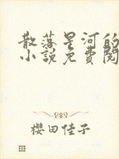 散落星河的记忆小说免费阅读全文封面