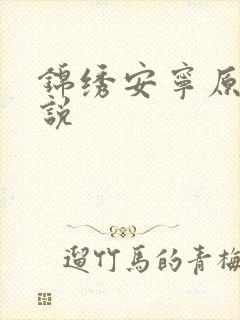 锦绣安宁原著小说