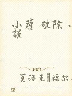 小萝 破除 小说