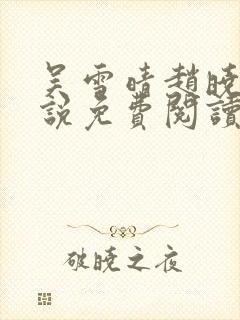 吴雪晴赵晓东小说免费阅读