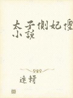 太子侧妃傻乎乎小说