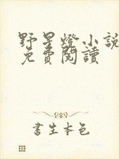 野星灯小说全文免费阅读