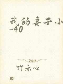 我的妻子小谨1-40