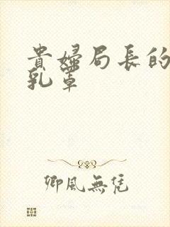 贵妇局长的蕾丝乳罩