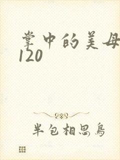 掌中的美母版主120