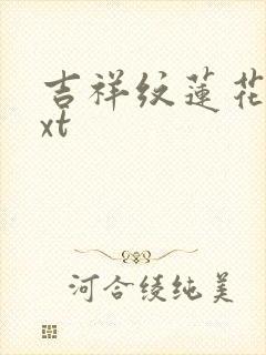 吉祥纹莲花楼txt