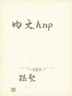 肉文hnp