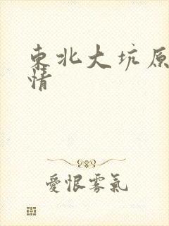 东北大坑原始激情